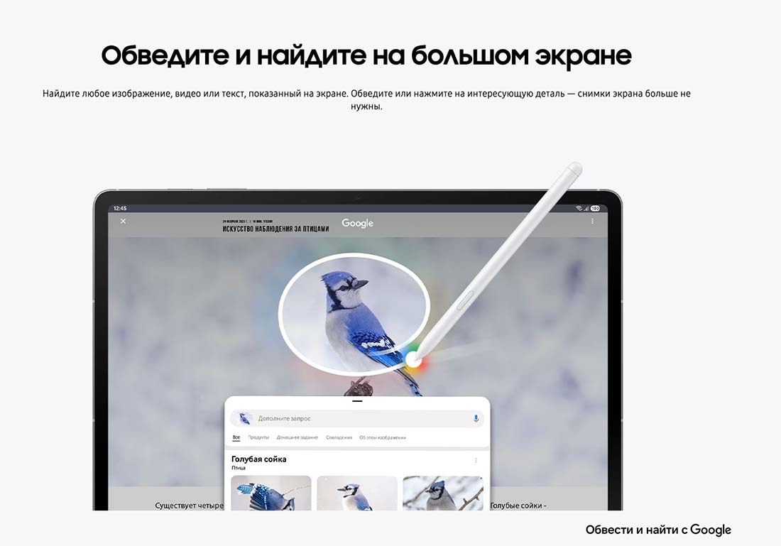 galaxy-tab-s10-fe в Челябинске galaxy-tab-s10-fe