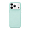 Чехол для iPhone 17 Pro с MagSafe Elago Magnetic Silicone (ES17MSSC63PRO-MT) Mint, мятный