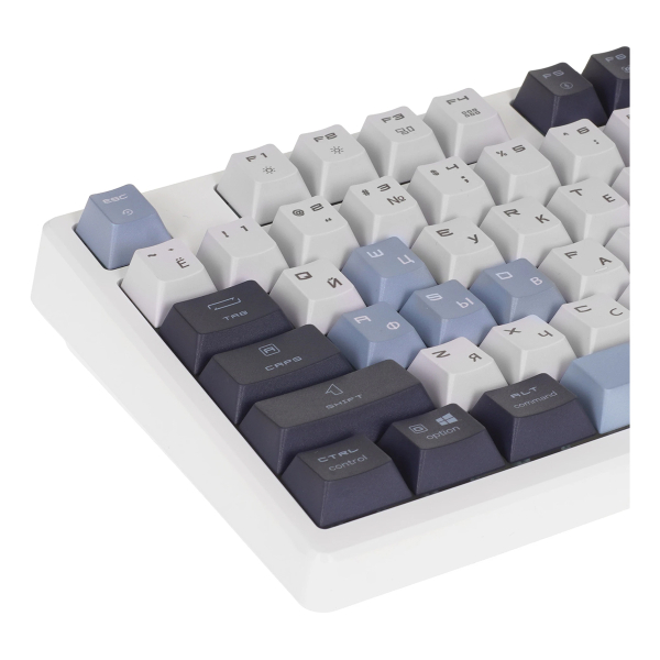 Клавиатура MSI Forge GK600 (S11-43RUP01-HH9) Белый/синий