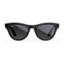 Умные очки Ray-Ban Skyler Gen 2 (RW4014), Matte Black/Polarized Gradient Graphite